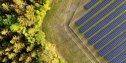 Ein Feld von Solaranlagen neben einem Waldstück