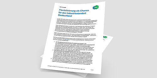 Grafische Vorschau des Dokuments zur Publikation KEI Kompakt Flexibilisierung